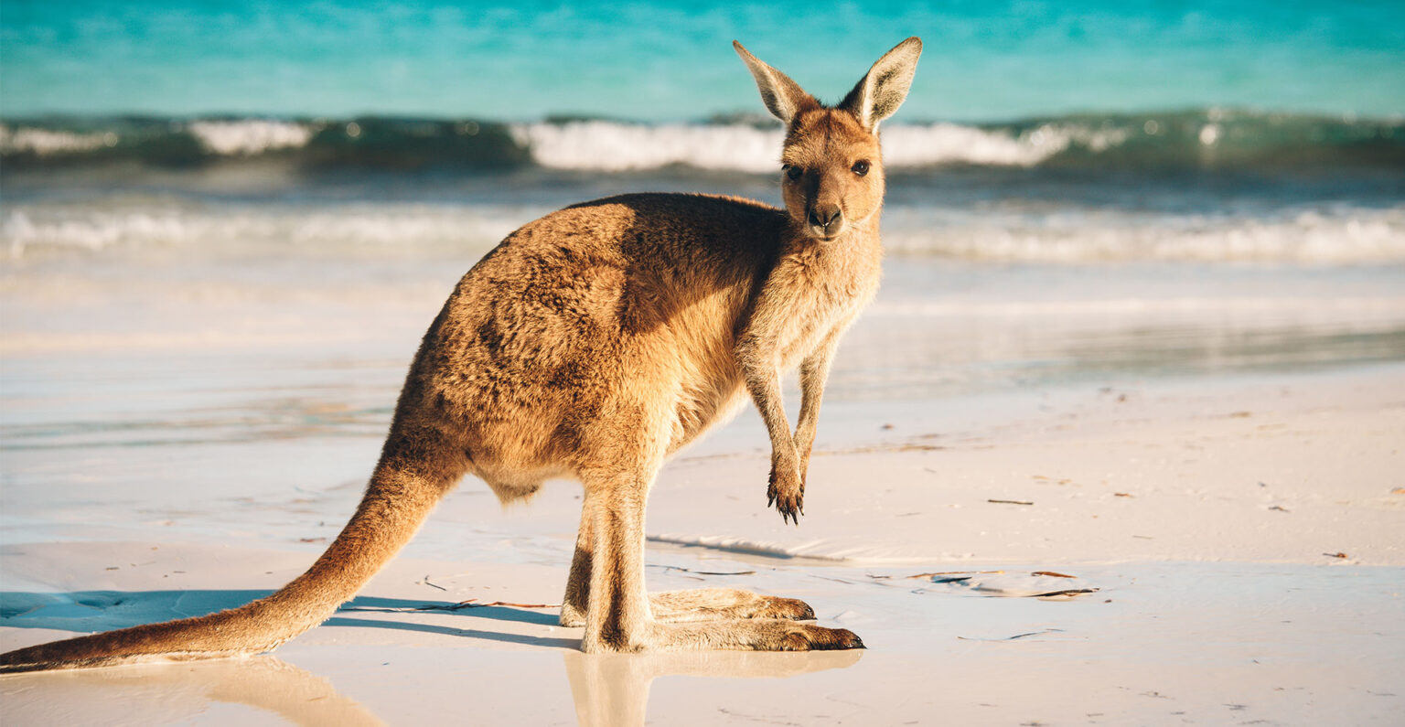 Australia
